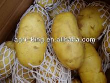Chinese frozen bulk potato