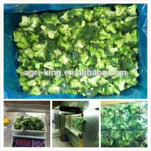 2014 new season hot sale high quality frozen broccoli price and iqf broccoli florets