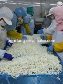 Chinese new IQF & Frozen  price  of  onions 