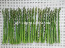 Hot IQF & Frozen asparagus root