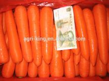 2014 new hot sale high quality chinese frozen carrot