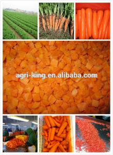 2014 new hot sale high quality chinese frozen carrot and  plush  rabbit with carrot