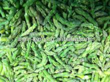 Hot IQF & Frozen asparagus price