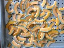 new season frozen pumpkin