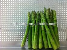 Hot IQF & Frozen asparagus growing