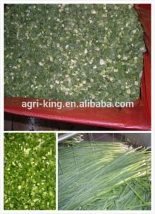 Chive types IQF & Frozen green onion