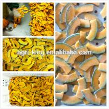 Frozen pumpkin