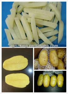 Chinese frozen  potato   specifications 