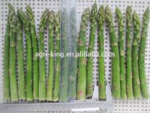 High quality IQF & frozen fresh green asparagus