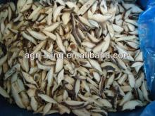 Frozen Mushroom Vegetable Price List