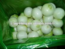 Chinese new IQF & Frozen all kinds of onions