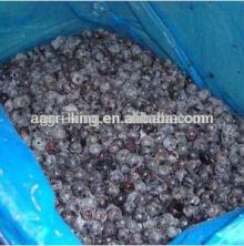 Frozen blueberry  prices 