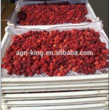 Frozen  fresh   raspberry 