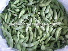 High Quality Frozen Edamame In Pod