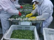 IQF Green Soy Bean Frozen Vegetable For Sale