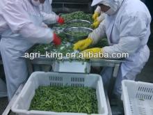 frozen edamame soya beans
