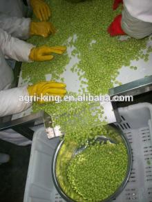 chinese green IQF & Frozen edamame shelled