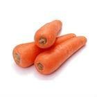 Chinese fresh red carrot