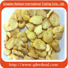 Fried  Split   Broad  Bean Without Skin