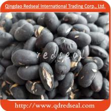 Roasted Black Bean