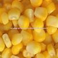  Yellow   Corn  -  Indian   Maize 