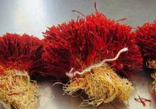  SAFFRON 
