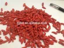 goji berries dried fruit