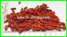 2014 Chinese wolfberry, goji berry