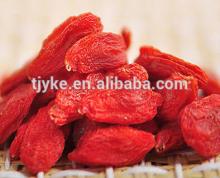 Xinjiang Goji berry dried goji berry yke-xg3