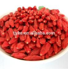 Ningxia top quality dried goji berry for sale