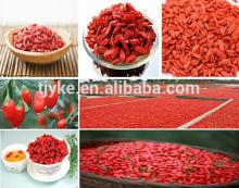 2013 new crop medlar goji berries dried wolfberry Goji organic/dried goji berry organic