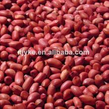 peanut kernels