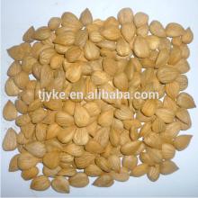apricot kernel top grade for sale