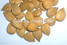 apricot kernel yke-ak2