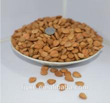 organic bitter apricot kernels 2014 new