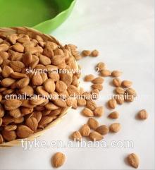 Sweet and bitter apricot kernels 2014 new crop