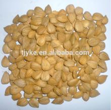 apricot kernel yke-ak4