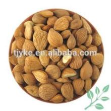 Organic Apricot Kernels YKE-AK3