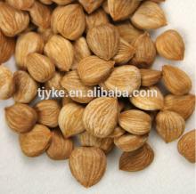 2014 new Apricot Kernel Type and Raw Processing Type Apricot kernel yke2