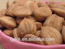 Apricot Kernel Type and Raw Processing Type Apricot kernel