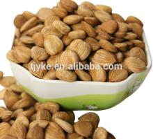 2014 new Apricot Kernel Type and Raw Processing Type Apricot kernel yke3