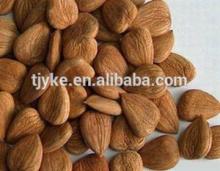 2014 new Apricot Kernel Type and  Raw  Processing Type Apricot kernel yke1