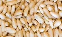 Chinese pine nuts for sale