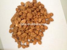apricot kernel extract