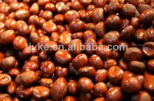 2014 hot sale Chestnuts