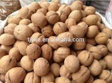 walnut kernel shell sale