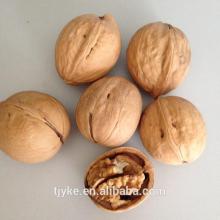 High quality walnuts in shell