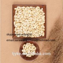 pine nut 1200/700/800