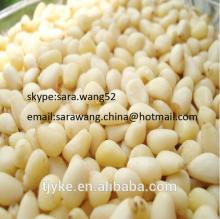 pine nut for sale
