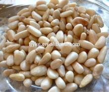 pine nut YKE-PN003